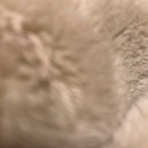 Meet your Posher, Brenna